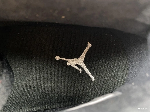 Reps TBkick Silver 6 Air DX2836-001 Metallic Jordan 0706